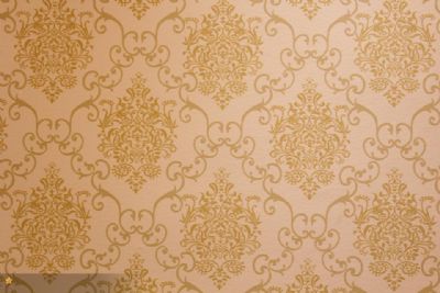 diatom mud silk paint