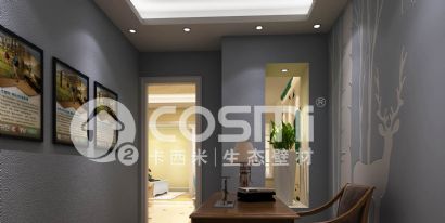 high durable diatom mud texture paint